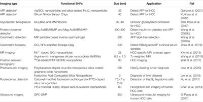 Silica-Based Nanoframeworks Involved Hepatocellular Carcinoma Theranostic